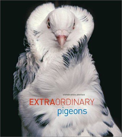 Stock image for Extraordinary Pigeons for sale by Better World Books