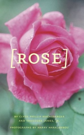 9780810950078: Rose