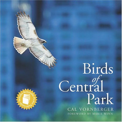 Imagen de archivo de Birds of Central Park a la venta por ZBK Books