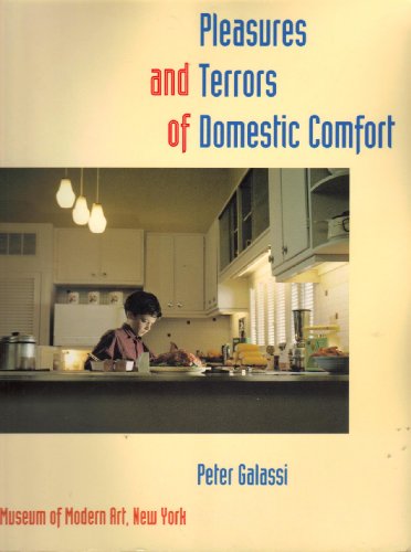 Stock image for Pleasures and Terrors of Domestic Comfort for sale by Lost Books