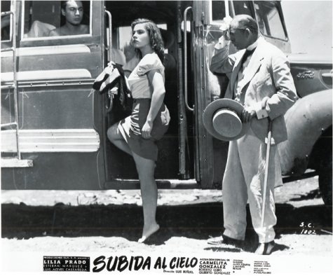 Imagen de archivo de Buuel 100 Years / 100 Aos - It's Dangerous to Look Inside / Es Peligroso Asomarse al Interior (English and Spanish Edition) a la venta por Arundel Books