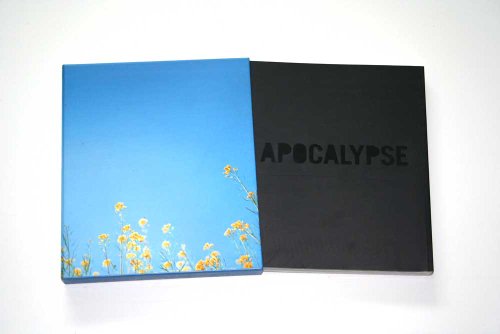 Stock image for Apocalypse for sale by Wonder Book