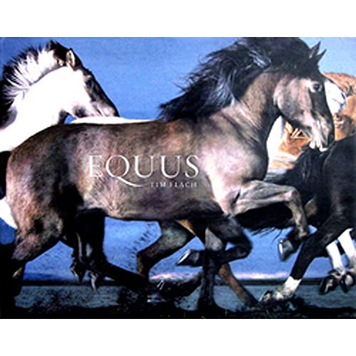 Beispielbild fr Equus: Tim Flach zum Verkauf von WorldofBooks