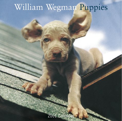 William Wegman Puppies 2001 Calendar (9780810978546) by William Wegman