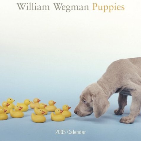 Stock image for William Wegman Puppies for sale by Shamrock Books