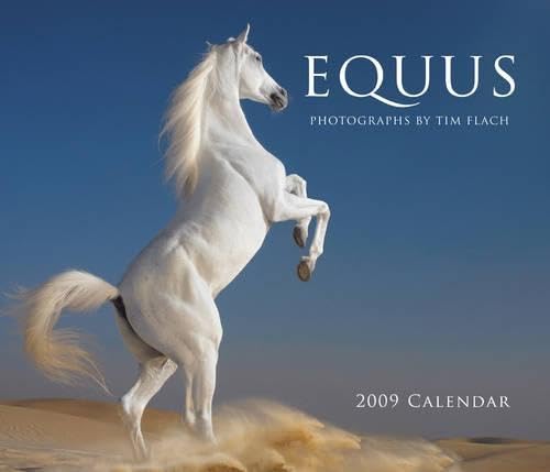 Equus 2009 Wall Calendar (9780810979871) by Flach, Tim