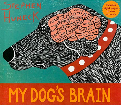 9780810982871: My Dog's Brain (Sally)