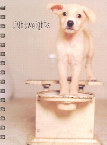 Stock image for Lightweights Wire-o Bound Blank Journal for sale by dsmbooks