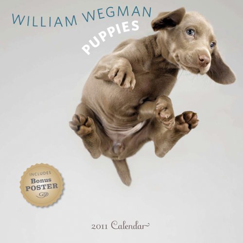 William Wegman Puppies 2011 Wall Calendar (9780810988996) by Wegman, William