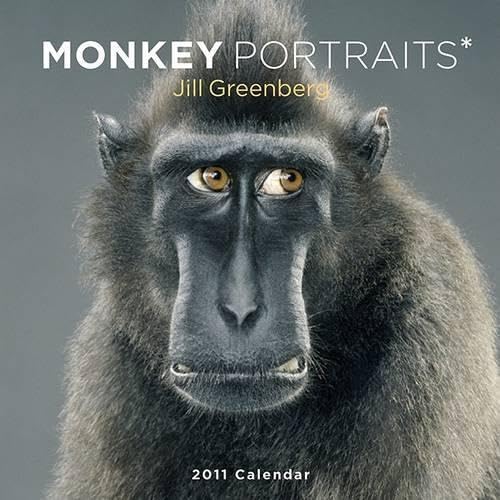 Monkey Portraits 2011 Calendar (9780810989177) by Greenberg, Jill