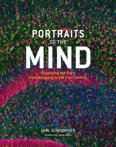 Stock image for Portraits of the Mind: Visualizing the Brain from Antiquity to the 21st Century for sale by Ergodebooks