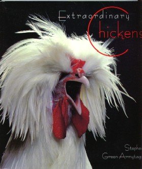 Stock image for Extraordinary Chickens for sale by Works on Paper