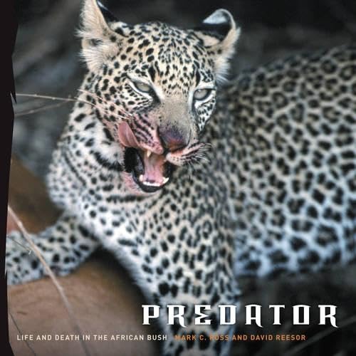 Stock image for Predator: Life and Death in the African Bush for sale by SecondSale