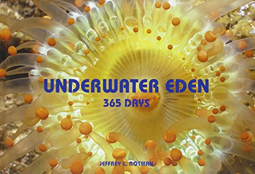 Stock image for Underwater Eden: 365 Days for sale by WorldofBooks