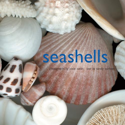 Beispielbild fr Seashells zum Verkauf von SecondSale