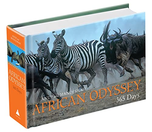 Stock image for African Odyssey: 365 Days for sale by ThriftBooks-Dallas