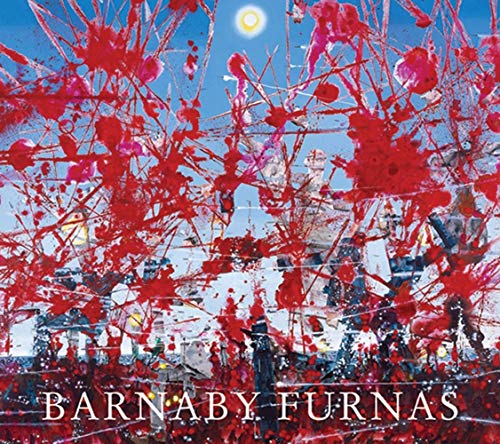 Imagen de archivo de Barnaby Furnas a la venta por Strand Book Store, ABAA
