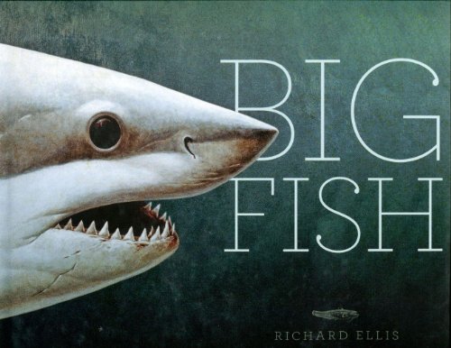 Beispielbild fr Big Fish zum Verkauf von Books of the Smoky Mountains