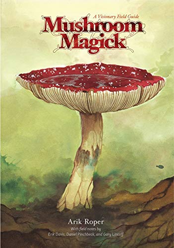 Imagen de archivo de Mushroom Magick: A Visionary Field Guide a la venta por HPB-Diamond