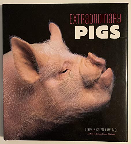 9780810997424: Extraordinary Pigs