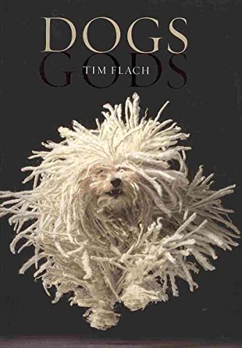 9780810997646: Dogs: by Tim Flach