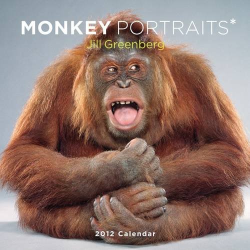 Monkey Portraits 2012 Calendar (9780810998544) by Greenberg, Jill