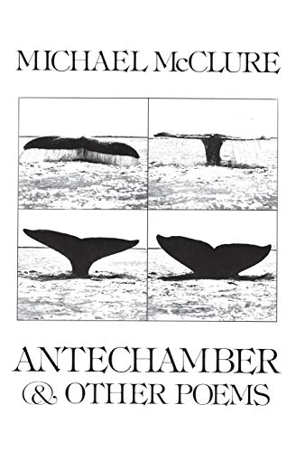 Stock image for Antechamber, & Other Poems for sale by Bayside Books