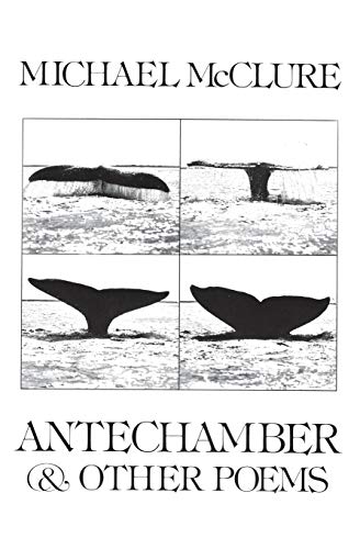 Stock image for Antechamber, & Other Poems for sale by Ergodebooks