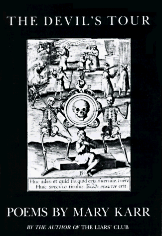 Imagen de archivo de The Devil's Tour a la venta por ZBK Books