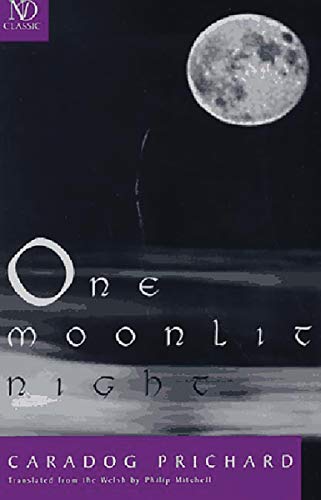 Stock image for One Moonlit Night (New Directions Classics) for sale by Ergodebooks