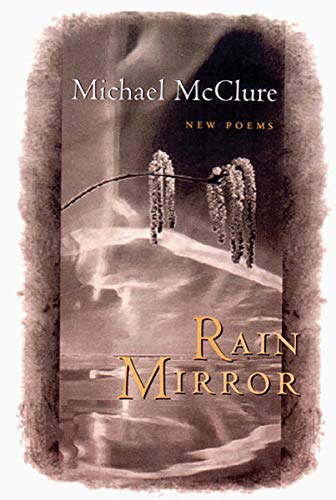 Beispielbild fr Rain Mirror: Poems zum Verkauf von ThriftBooks-Dallas