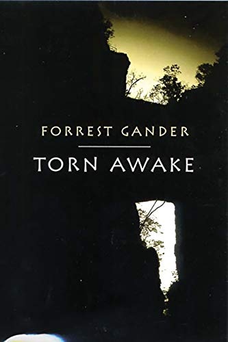 Beispielbild fr Torn Awake zum Verkauf von ThriftBooks-Dallas