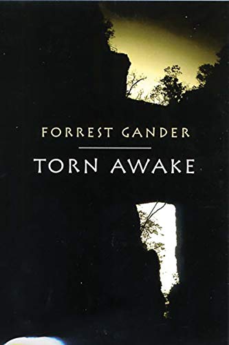 Imagen de archivo de Torn Awake a la venta por Wonder Book