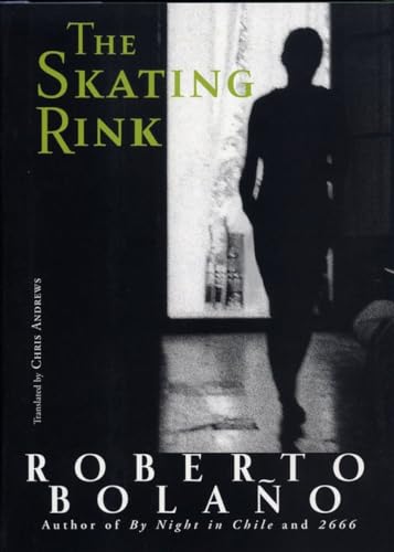 Stock image for The Skating Rink for sale by Better World Books