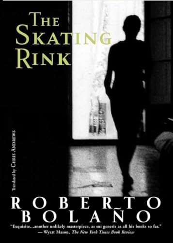Beispielbild fr The Skating Rink zum Verkauf von Better World Books