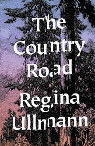 Stock image for The Country Road: Stories Format: Paperback for sale by INDOO