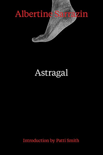 Beispielbild fr Astragal Format: Paperback zum Verkauf von INDOO