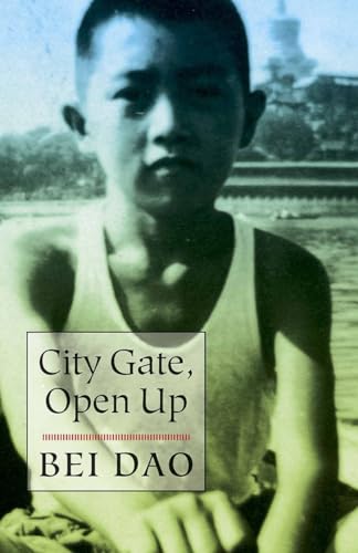 Beispielbild fr City Gate, Open Up Format: Paperback zum Verkauf von INDOO