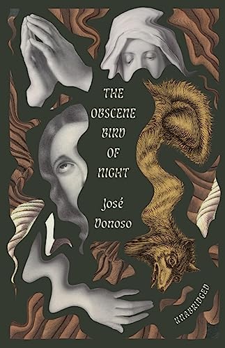 Imagen de archivo de The Obscene Bird of Night a la venta por Blackwell's