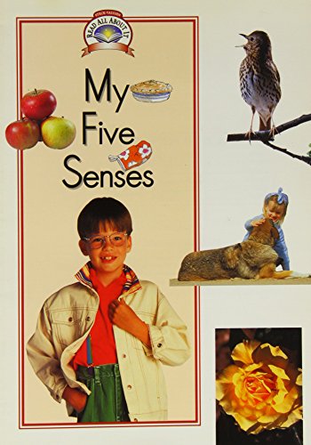 Imagen de archivo de My Five Senses a la venta por Better World Books