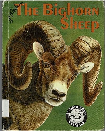 9780811477567: The bighorn sheep (Endangered animals)