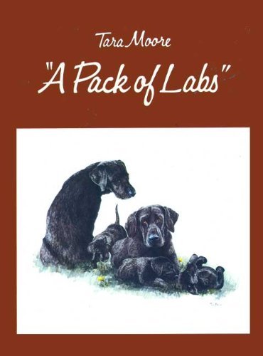 Stock image for A Pack of L:abs" for sale by Richard Peterson-Bookseller