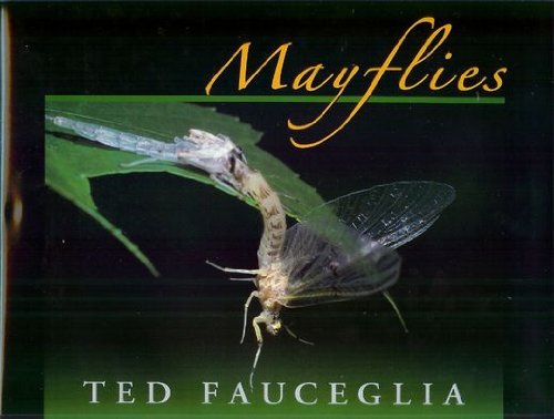 Stock image for Mayflies - Major Eastern and Midwestern Hatches for sale by Second Edition Books