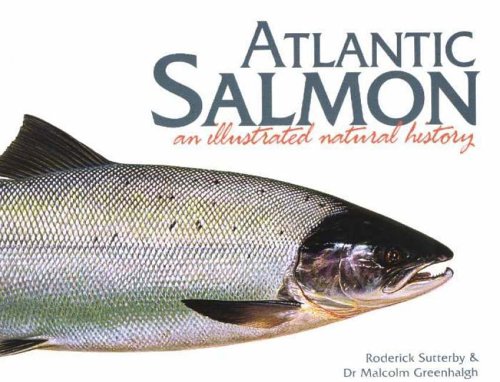 Stock image for Atlantic Salmon: An Illustrated Natural History for sale by Adkins Books