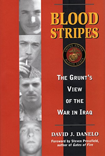 Stock image for Blood Stripes: The Grunt's View of the War in Iraq for sale by ThriftBooks-Atlanta