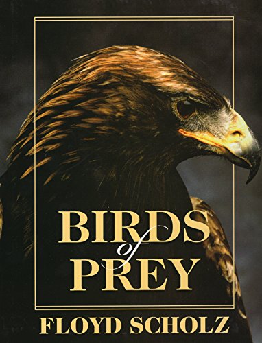 Birds of Prey - Scholz, Floyd