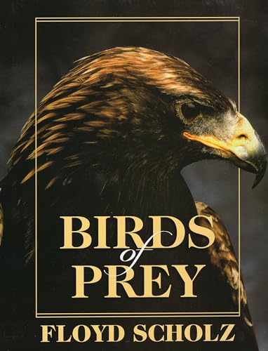 Stock image for Birds of Prey for sale by R Bookmark