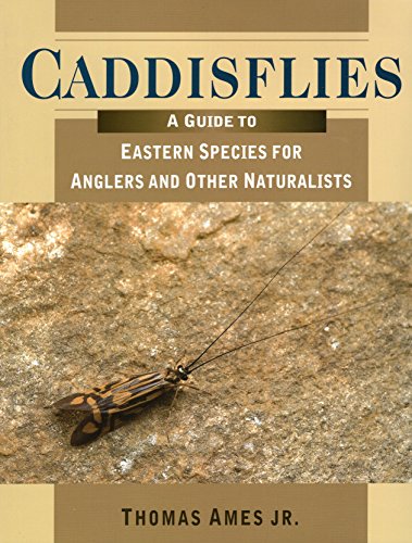 Imagen de archivo de CADDISFLIES: A GUIDE TO EASTERN SPECIES FOR ANGLERS AND OTHER NATURALISTS. By Thomas Ames. Jr. a la venta por Coch-y-Bonddu Books Ltd