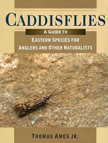 9780811704564: Caddisflies: A Field Guide to Eastern Species for Anglers and Other Naturalists