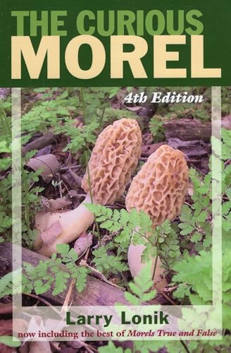 Stock image for The Curious Morel for sale by Michael Lyons